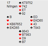 Spil17 230915