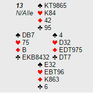 Spil13 270116